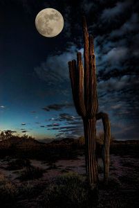 17f8aec07e584e76397e05214fae2f7a