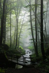 d63c363899facd7a7a28dbeb65b3f0a1