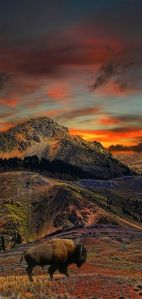 e63e69505608a9251d6ef33658f29e1d